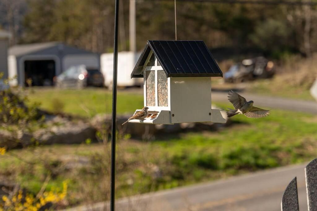 Cozy Cottage, Hot Tub, Fire Pit, 15Min To Hudson And Hiking Catskill Exteriör bild